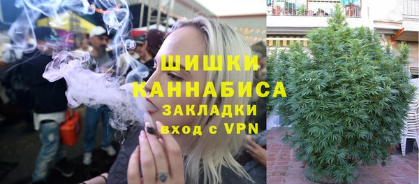 прущие грибы Армянск