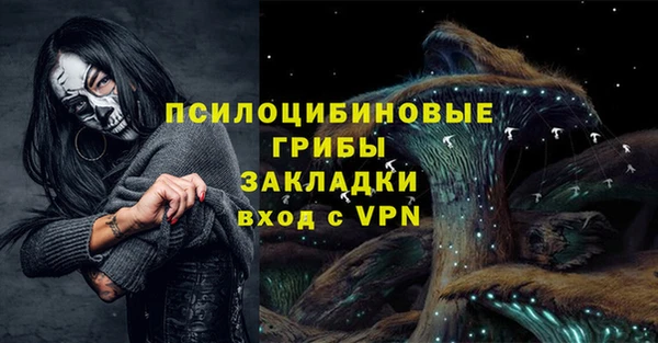 a pvp Михайлов