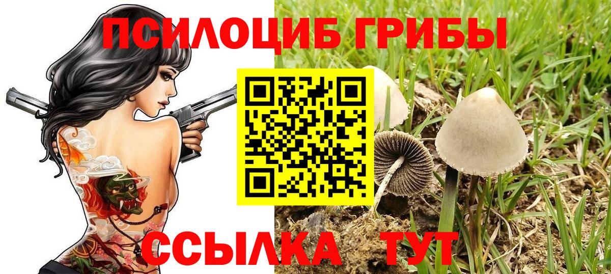 Сочи  Галлюциногенные грибы Magic Shrooms  Вход с VPN 