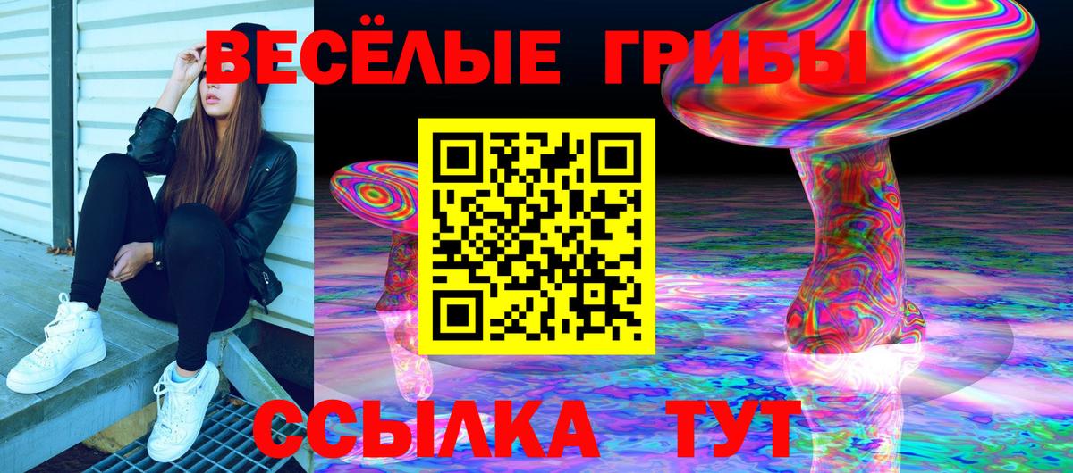 Галлюциногенные грибы Psilocybe Сочи