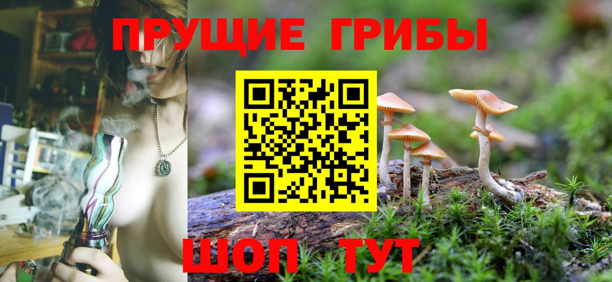 Галлюциногенные грибы Cubensis  Сочи 