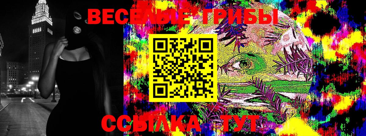 Галлюциногенные грибы Psilocybine cubensis Сочи