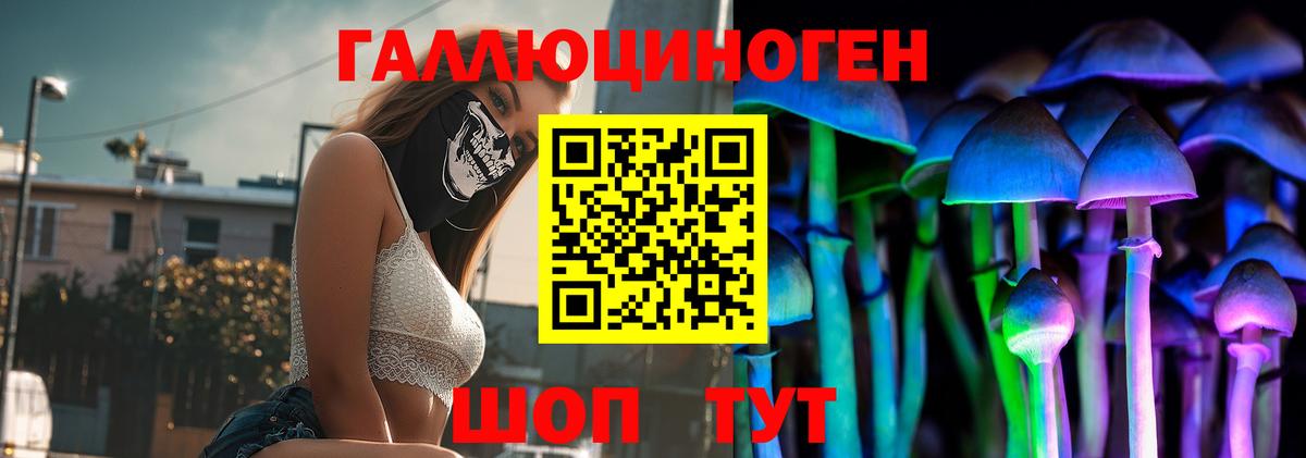 Альфа ПВП Сочи