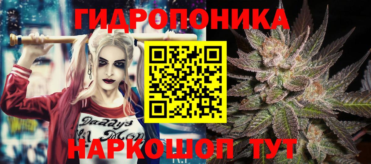 Бошки Шишки план  Сочи  Бошки Шишки план  Бошки Шишки план  Бошки Шишки план  Бошки Шишки план  Бошки Шишки план 